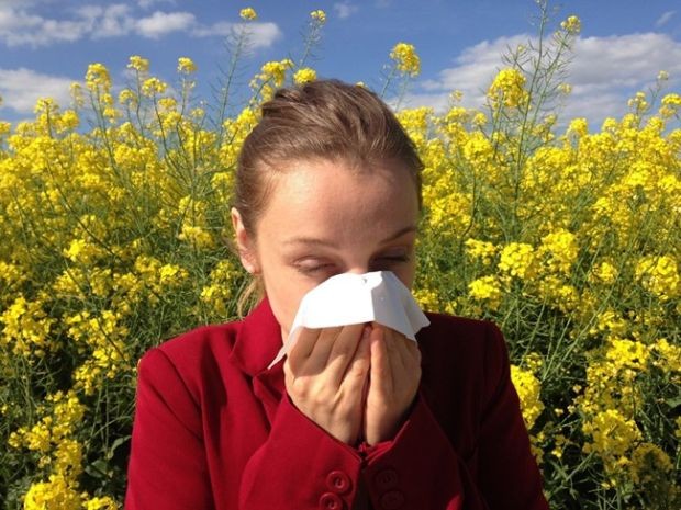 Алергията не е болест, а състояние на организма, или по-точно