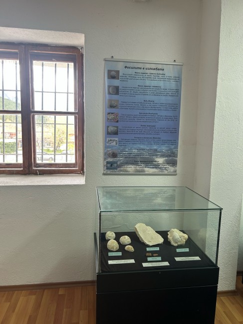 Фосили от Мезозойската ера представя изложба