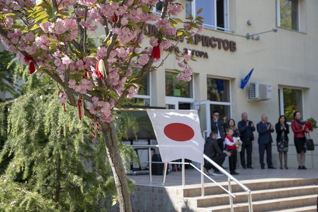 Японската вишна празнуват в Четвърто Основно училище "Кирил Христов" в Стара Загора