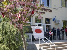 Японската вишна празнуват в Четвърто Основно училище "Кирил Христов" в Стара Загора