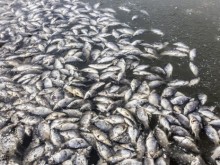 Завод в Сопот трови водите на река Манастирска