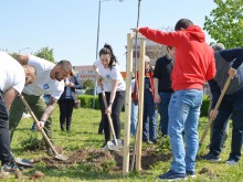 Абсолвенти и преподаватели засадиха дръвчета за трета поредна година в Пловдив