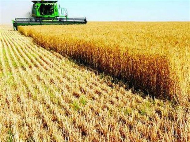 Решението на правителството за спиране вноса на зърно от Украйна