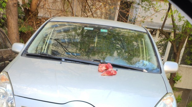 Столичанин осъмна със сурово месо върху автомобила си. Насекоми и озадачени