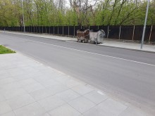Пловдивчани принудени да нарушават правилата, за да си хвърлят боклука