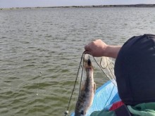 200 метра риболовни мрежи са иззети при проверка в Дуранкулашкото езеро
