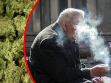 ��������� ���� ��������: ����� ������� �� ������ ���� ����