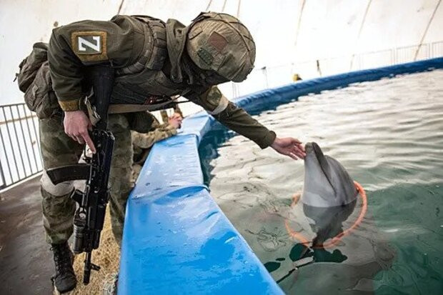 Русия е засилила отбраната на Севастопол с бойни делфини