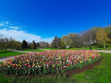 Цветни пролетни фигури радват добричани и гости на града