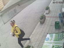 Крадла на скъп алкохол броди из южните квартали на София