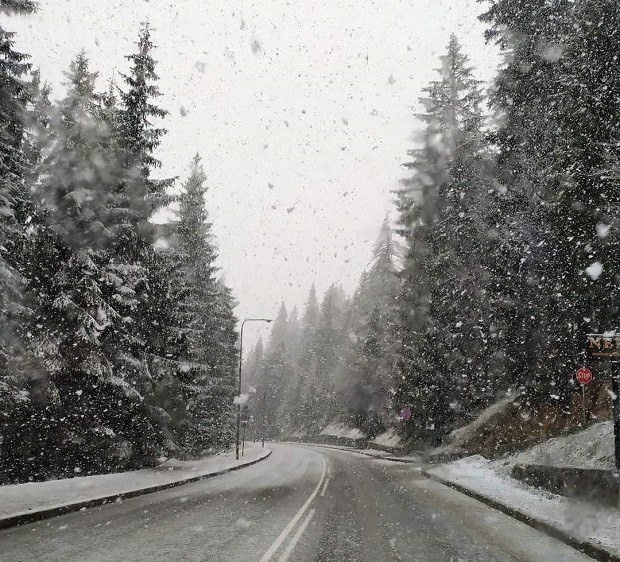 Сняг вали по проходите "Пампорово" и "Превала" в област Смолян