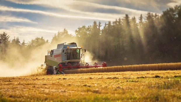 ЕК ще забрани вноса на украинско зърно за Румъния до 5 юни