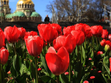 Между 7 и 23 градуса през май: Ето цялостната прогноза за месеца