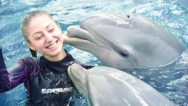 Делфинариум Варна“ връща плуването с делфини от 1 май 2023