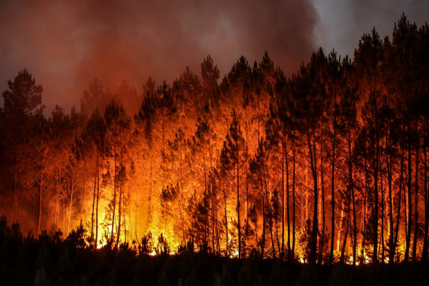 Във Франция мобилизират армията за справяне с горските пожари