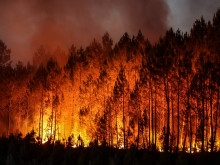 Във Франция мобилизират армията за справяне с горските пожари
