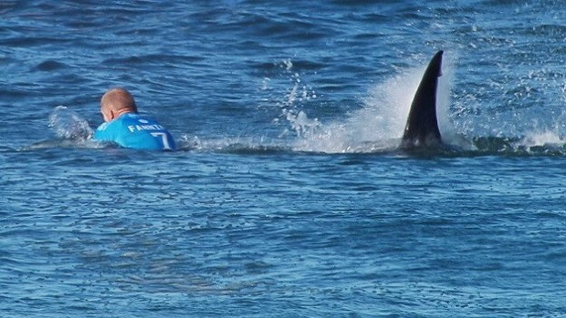 Професионален сърфист оцеля след нападение на акула. Невероятната история се