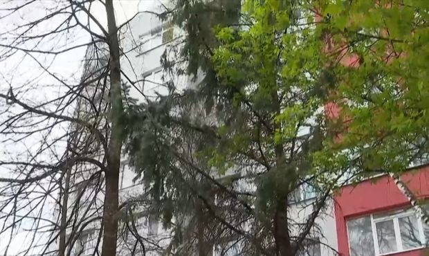 Бащата на убитата Анита от Перник: Заварихме я да лежи на пода, цялата в кръв