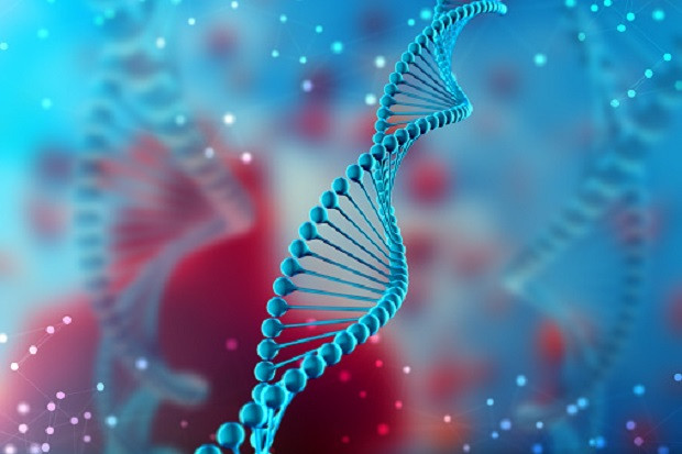 Изследователи дешифрираха завършен човешки геном