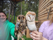 Зоопаркът в Стара Загора получи птици от СЦДЖ "Зелени Балкани"