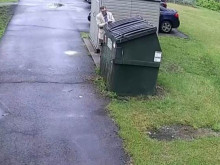 ��� ������ ���� �� ������ � �� ������� �� ����, ����� ����