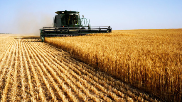 Еврокомисията забрани вноса на зърнени продукти от Украйна в България,