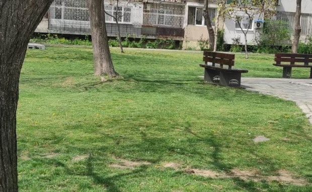 Двама са осъществили полов акт в парк в Пловдив пред