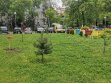 Похвално! Пловдивчанин със собствени сили поддържа парк в "Западен"
