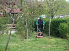 Пускат шест нови китайски косачки по парковете
