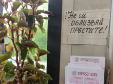 Уникална снимка от тото пункт взриви мрежата