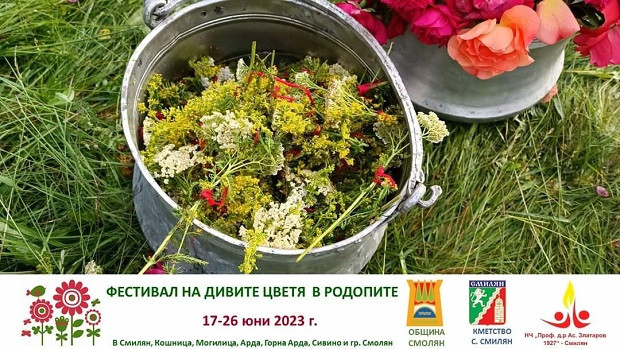 Фестивалът на дивите цветя в Родопите ще се проведе през юни