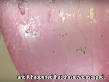 ���� � ��� ����� �����������: ������� ���������� ���������