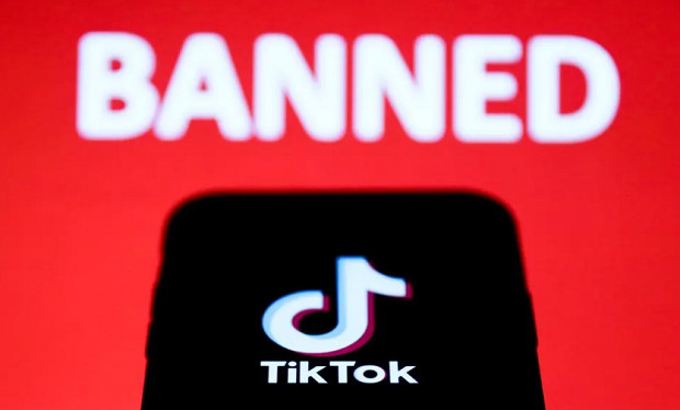 Австрия ще забрани TikTok на служебните телефони на федералните служители присъединявайки се към нарастващия