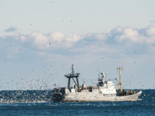 Румънски съд не пусна българските кораби