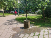 На живеещ в "Кършияка" наистина му писна, ще се оплаква на кмета