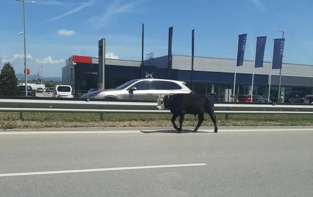 ����� �� ������� �� �������������� � ���������