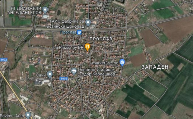 TD Община Пловдив планира да изгради нов собствен декоративен разсадник в