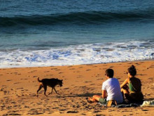 Забраняват разхождането на домашни любимци на плажа във Варна