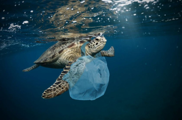 Замърсяването с пластмаса може да бъде намалено с 80 до