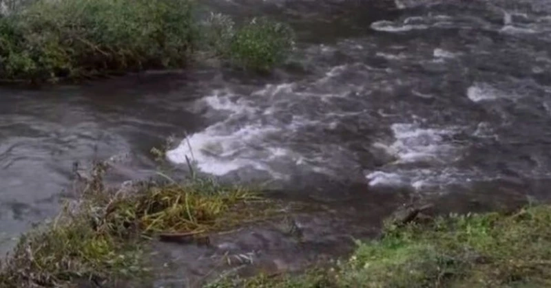 Откриха труп във водите на Марица в Пловдив