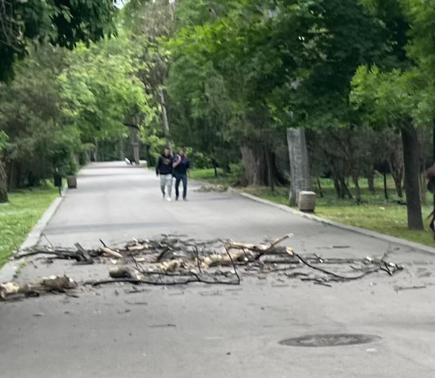 Клон падна до майка с дете във Варна