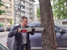 Обследват старите тополи по бул. "Васил Левски" в столицата
