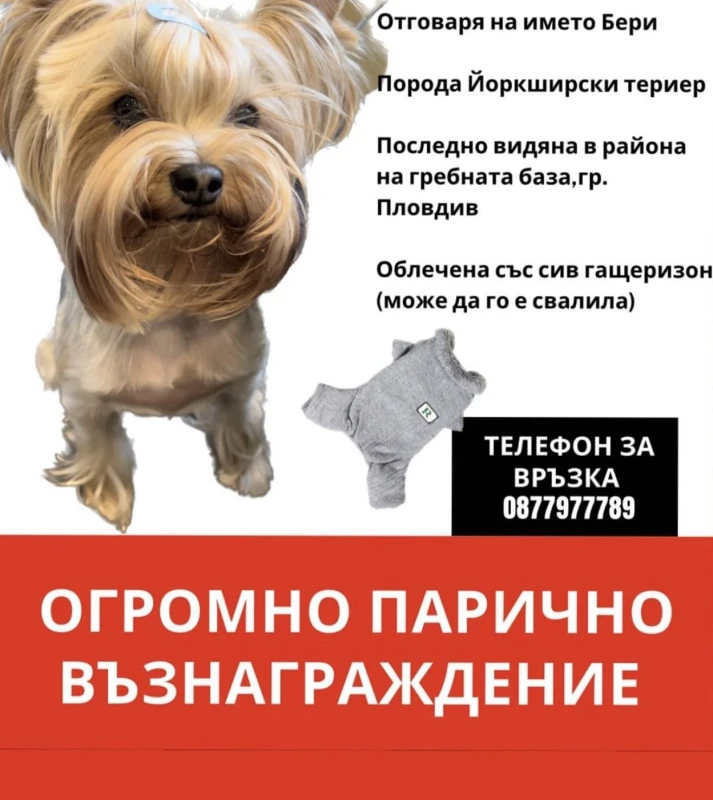 Огромно парично възнаграждение, ако помогнете