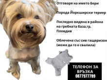 Огромно парично възнаграждение, ако помогнете
