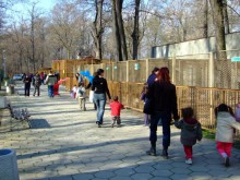 Обявяват конкурса за довършване на зоокъта