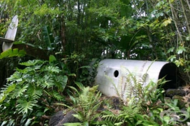 Истинско чудо в Латинска Америка Две седмици след самолетна катастрофа