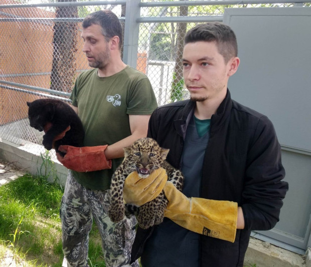 Посетителите на Варненския зоопарк вече могат да видят двете мъжки
