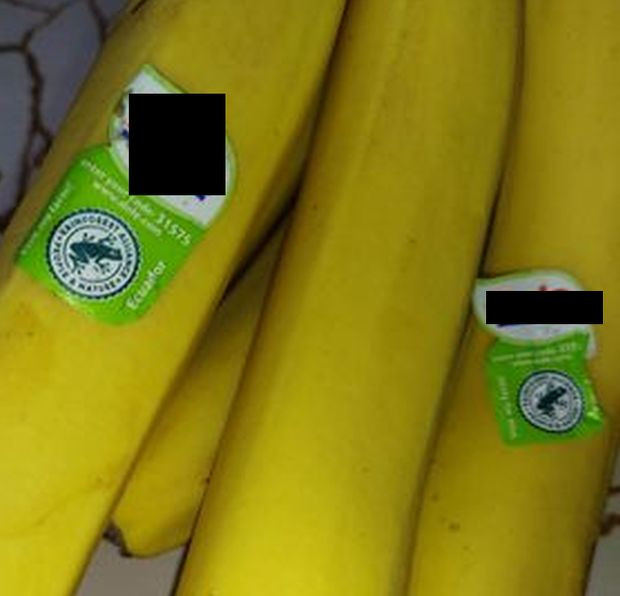 </TD
>Пловдивчанин е закупил банани, а на етикети има нарисувана жаба.