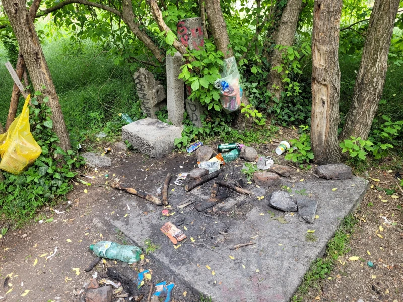Свинщина в пловдивския парк Лаута