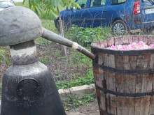 Първите ритуали по розобер и розоварене се проведоха в село Черганово